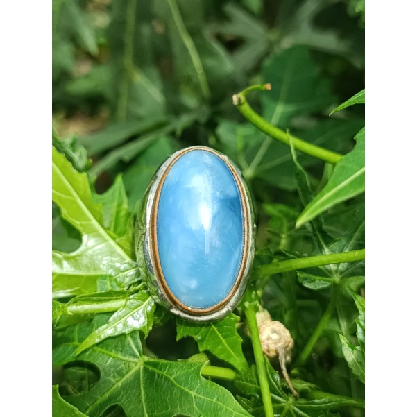 NATURAL PANDAN SUJI BIRU LANGIT