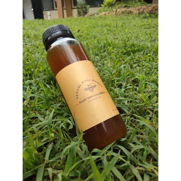 

Madu Klanceng