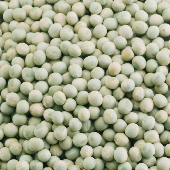 

><><><] Dry Green Peas 1Kg / Kacang Polong Kering / Greenpea Dried