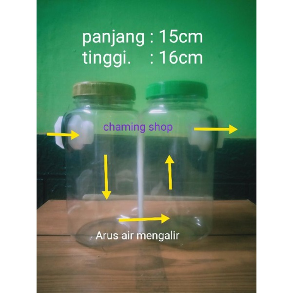 filter toples pipa aquarium mini