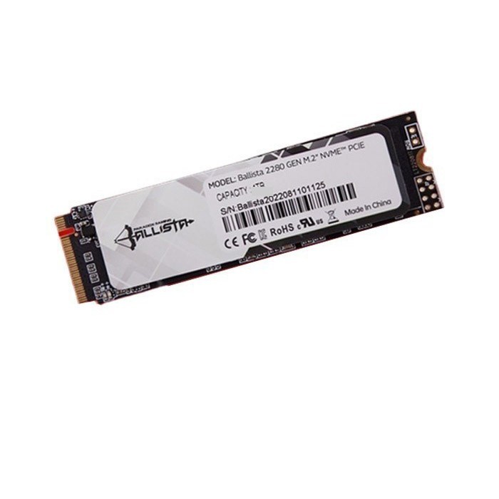 Paradox Gaming Ballista SSD 512GB M.2 NVMe 2280 / SSD NVME 512GB