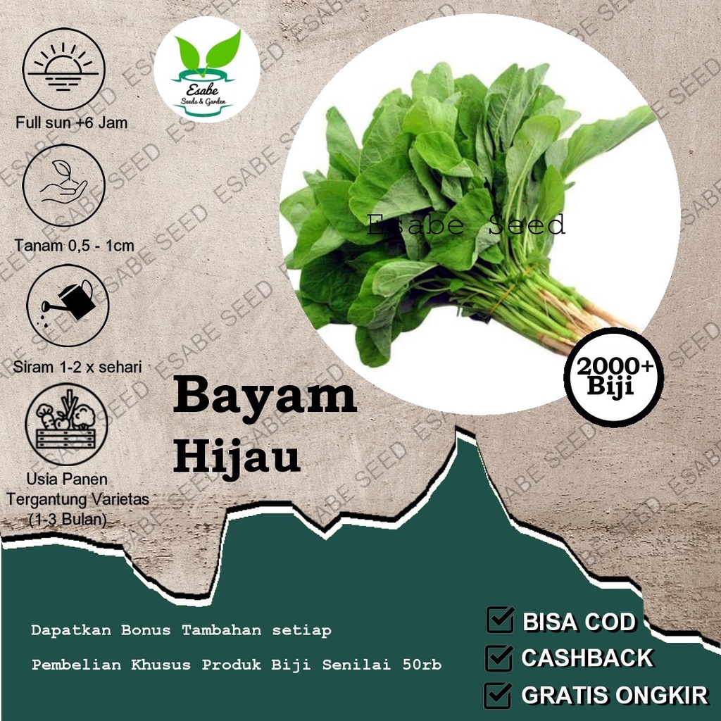 Benih Bibit Bayam Hijau Cap Panah Merah