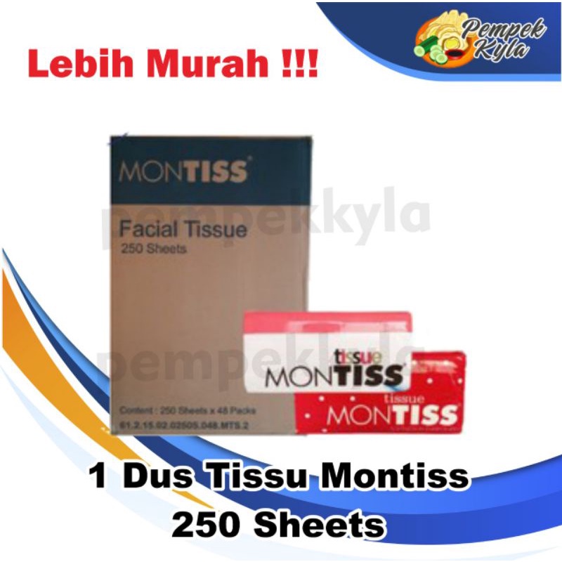 Montis 250 sheets 2 ply (1 dus isi 48 packs)