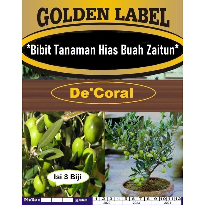 Bibit Tanaman Hias Buah Zaitun|Benih Buah Zaitun|Bibit Buah Zaitun