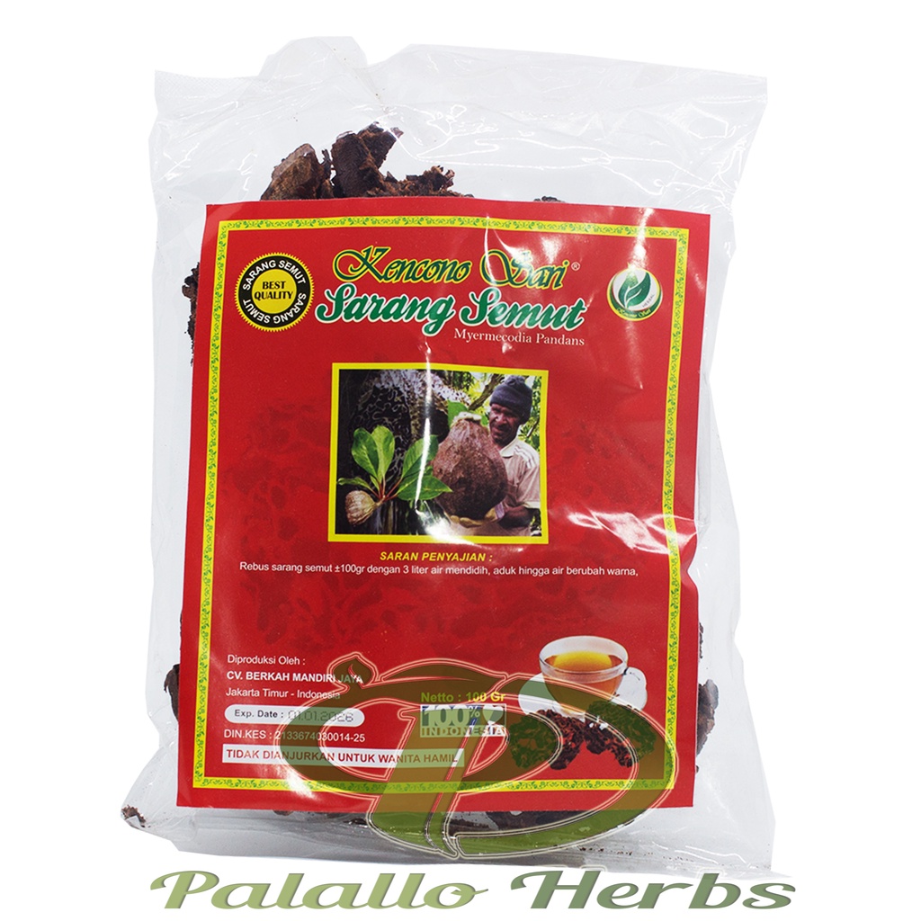 Sarang Semut Papua | Kencono Sari |