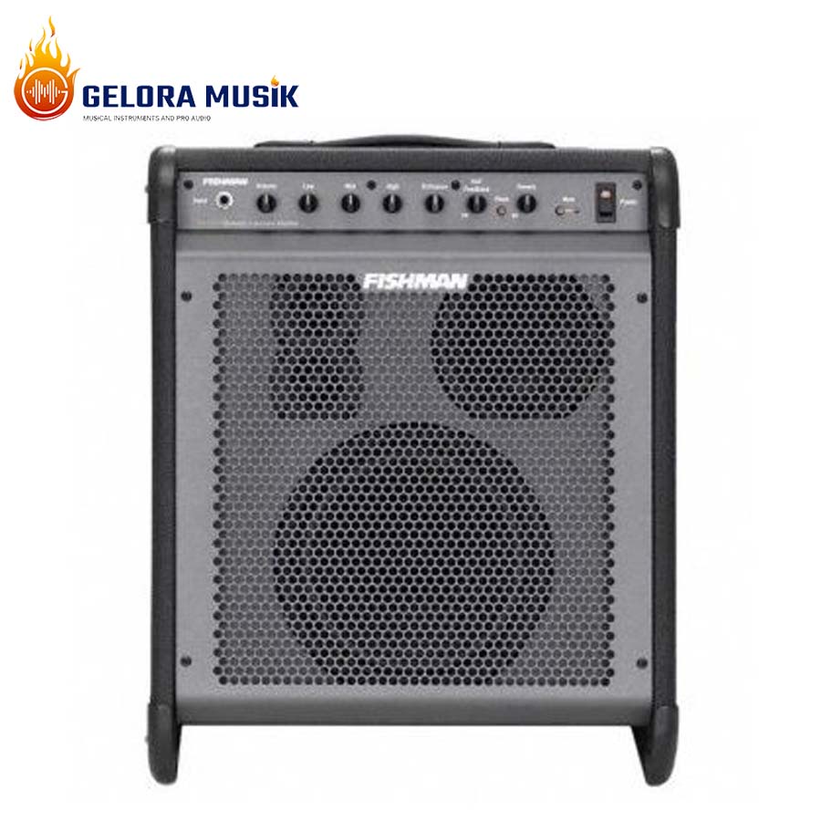 Ampli Gitar Akustik Fishman Loudbox Pro-LBX-EX1