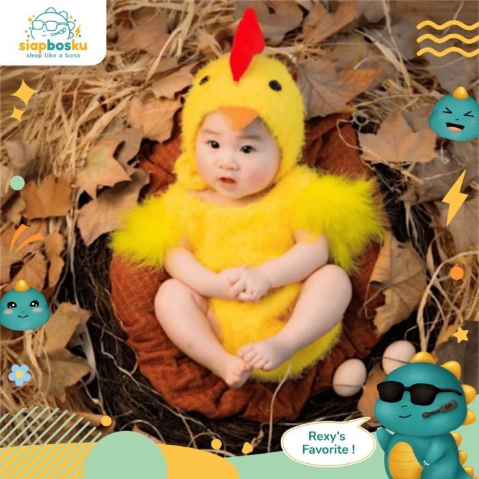 Jual Kostum Bayi Properti Foto Bayi Newborn Animal Karakter Mermaid ...