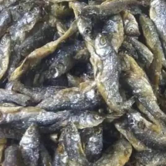 

Terbaru[KF7]-Ikan bilis ..asli dari danau singkarat 100%,berat 250 gram
