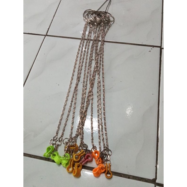 Rantai Burung Nuri Borgol Burung