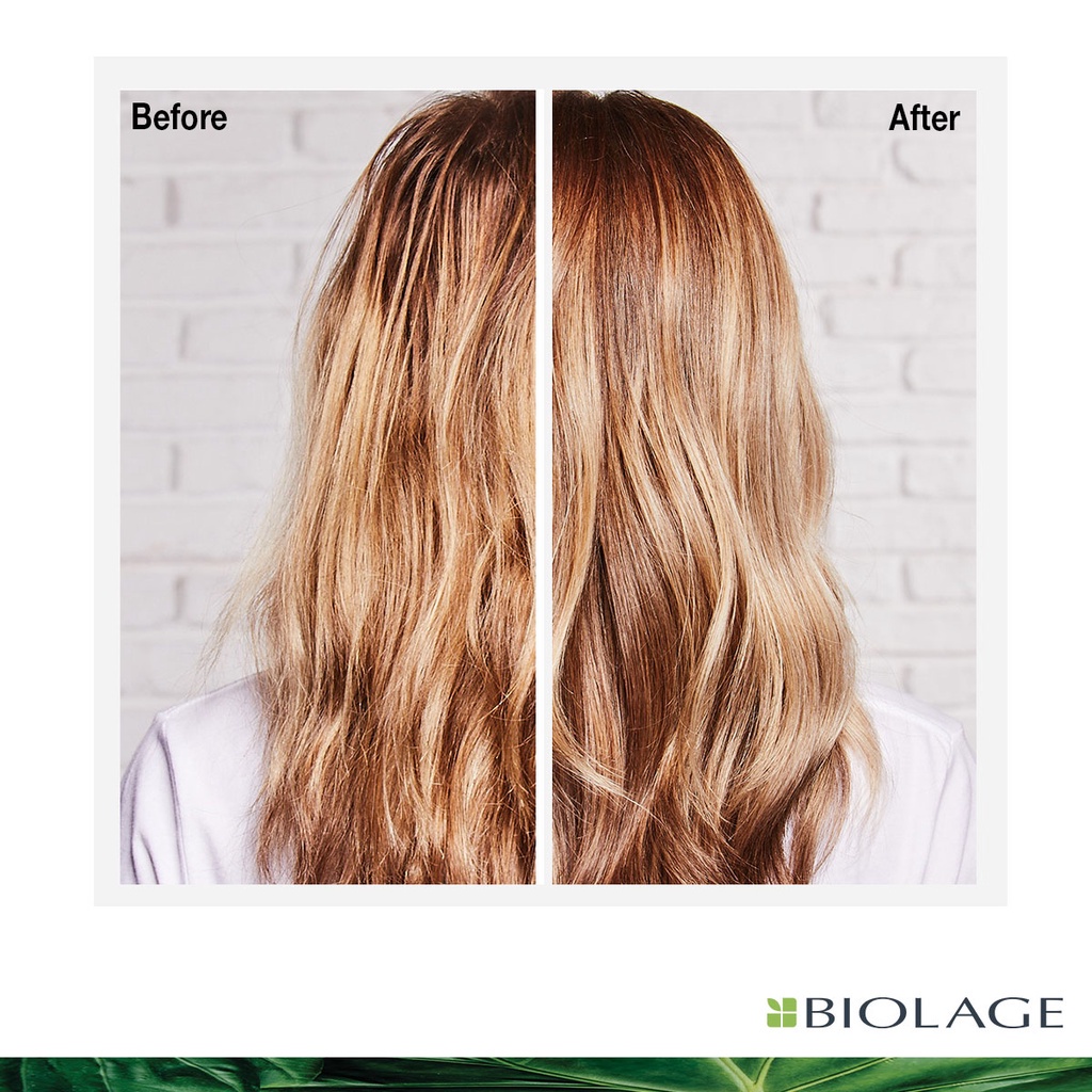 BIOLAGE COLORLAST MASK 500ML