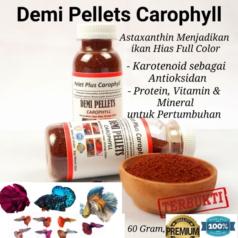 DEMI PELET CAROPHYLL Pelet Untuk Memperkuat warna ikan hias