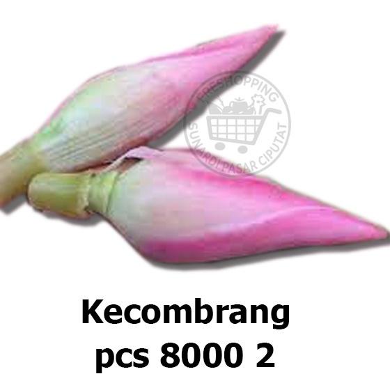 

⚡TOK SIAP 【COD Kecombrang / Honje / sambuang / kincung 2 pcs