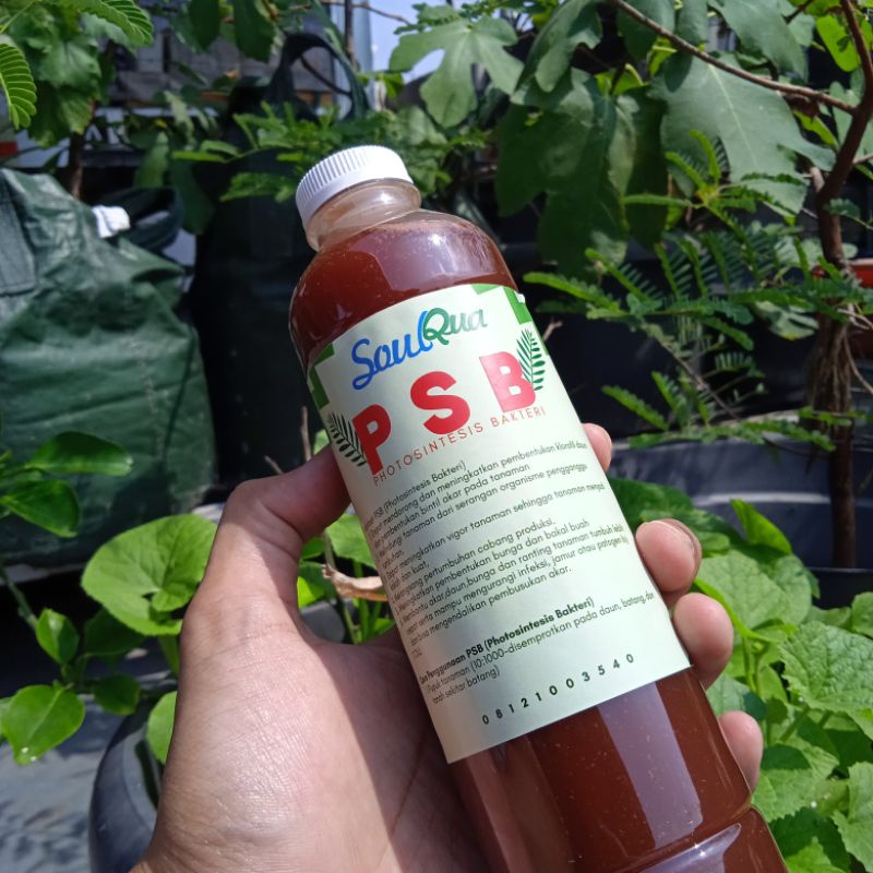 Fotosintesis bakteri (PSB) 500 ml