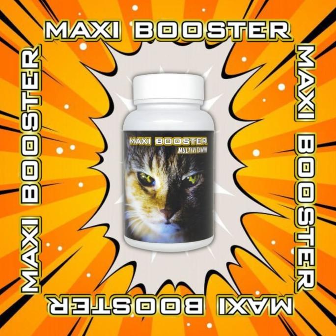 vitamin kucing maxi booster original