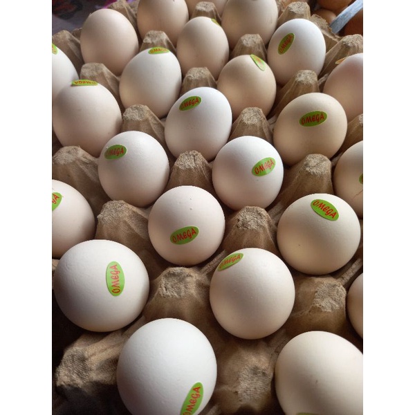Jual Telur Ayam Kampung Omega / Telur Ayam Kampung Fresh | Shopee Indonesia