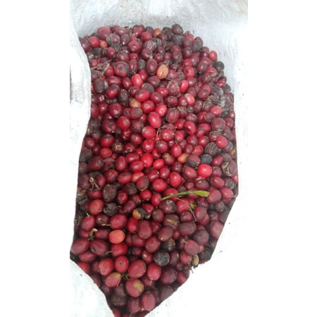 

link cargo 10 kg