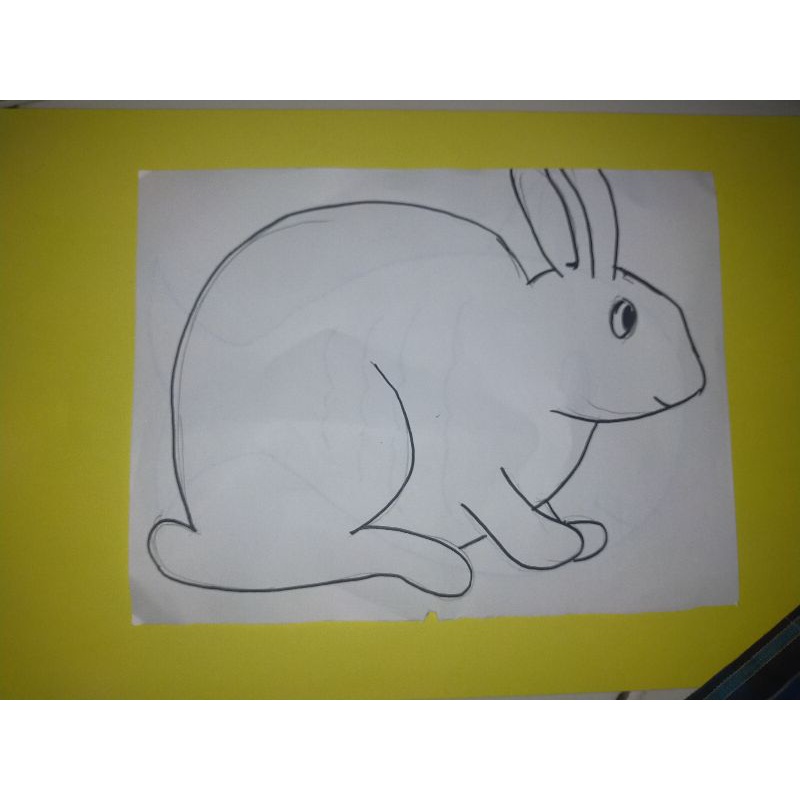 

sketsa gambar hewan untuk anak anak