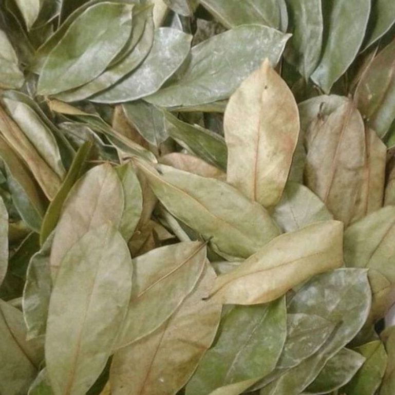 

Daun Sirsak Kering 1kg Sirsat