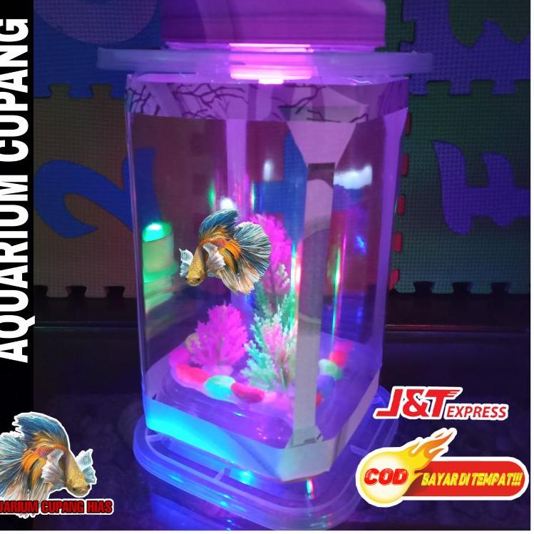【Penjualan Terbaik】✅COD Aquarium Ikan Cupang Hias Mini Bentuk Persegi Hiasan Kamar Tidur Lampu Warna