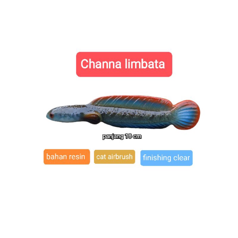Patung miniatur Channa limbata