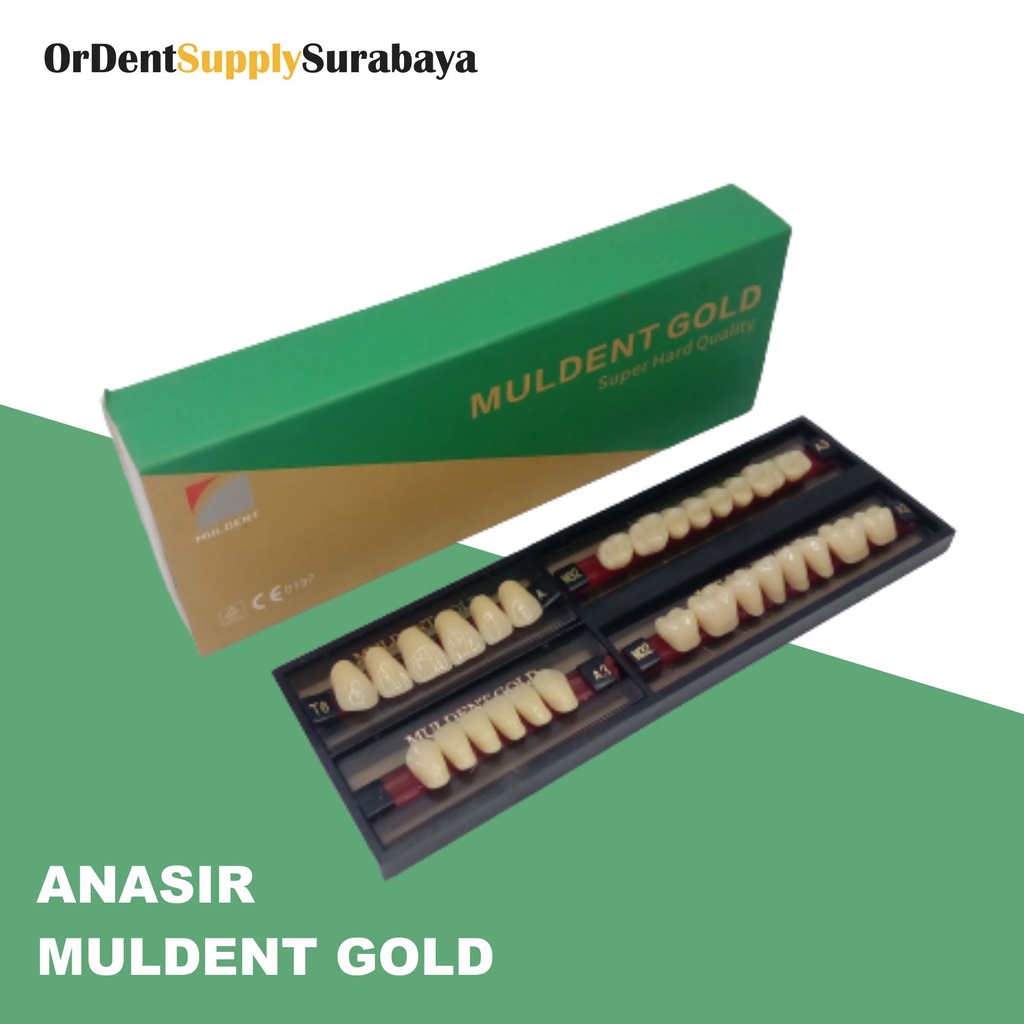 Anasir gigi palsu muldent gold