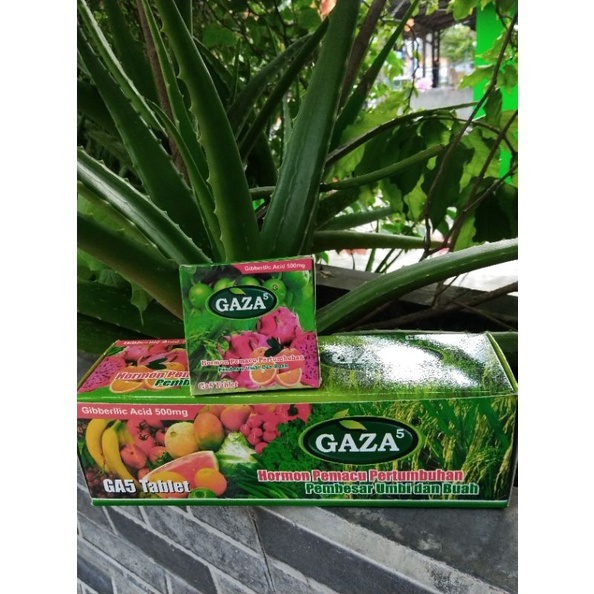 ZPT Pembesar Buah dan Umbi Gaza Gibberlic acid 500mg