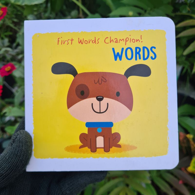 FIRST WORDS CHAMPION: WORDS (Buku Anak: Board Book)