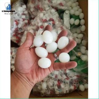 Alat Ternak Telur Palsu Merpati Ayam Kate Dan Aneka Burung,Bahan Solid Garansi Produk