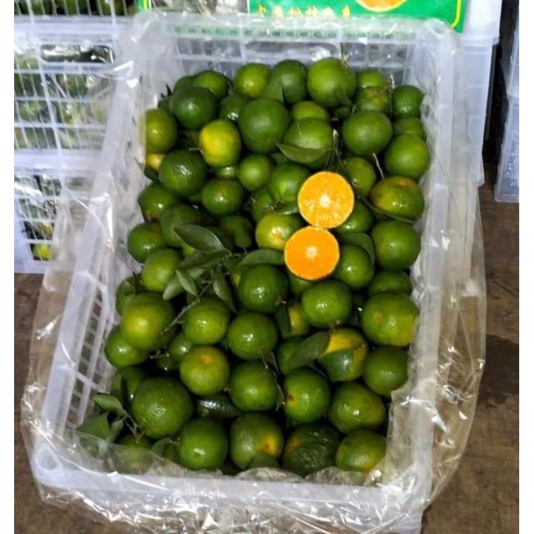 

santang Madu/manis anti asem