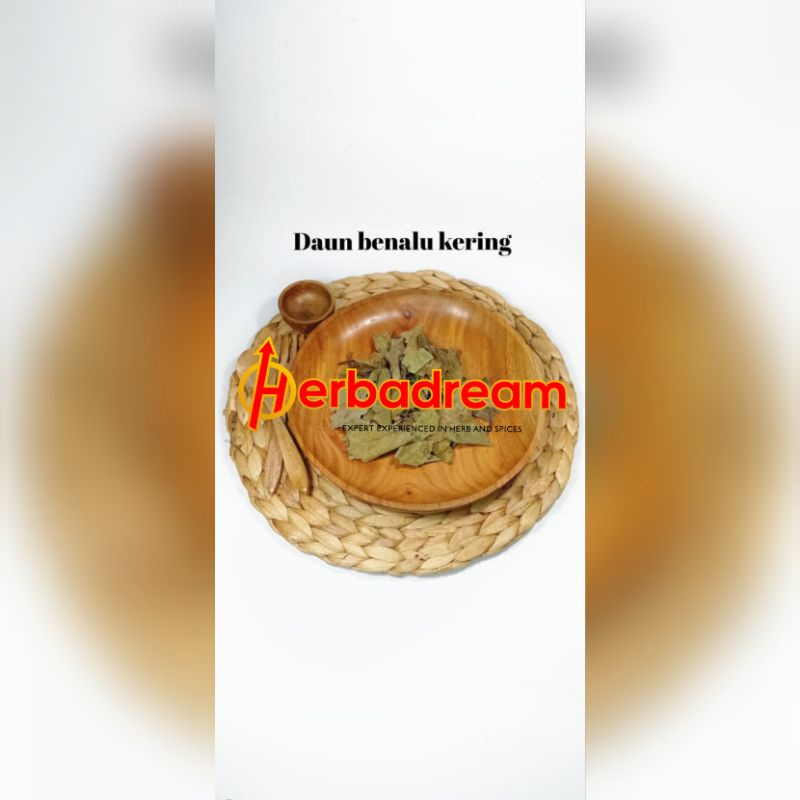 50 GRAM BENALU MULTI FLORA CAMPUR MACROSOLEN COCHINCHINENSIS LORANTHUS HONGHUA JINGSHEN KEMLADEAN DA
