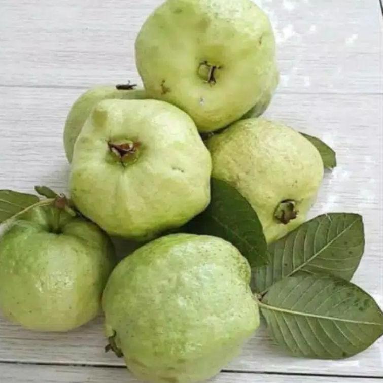 

Ready Stok Jambu Kristal Non Biji 1 kg