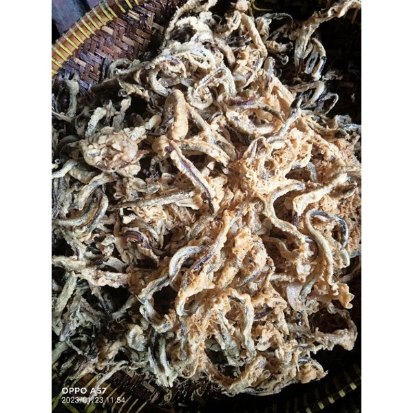 

Kripik belut utuh berat 500gr