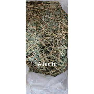 EXOTICGOODS TIMOTHY HAY 2nd CUT 500g MAKANAN KELINCI MAKANAN MARMUT MAKANAN CHINCHILLA