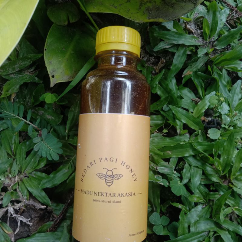 

Madu Nektar Akasia