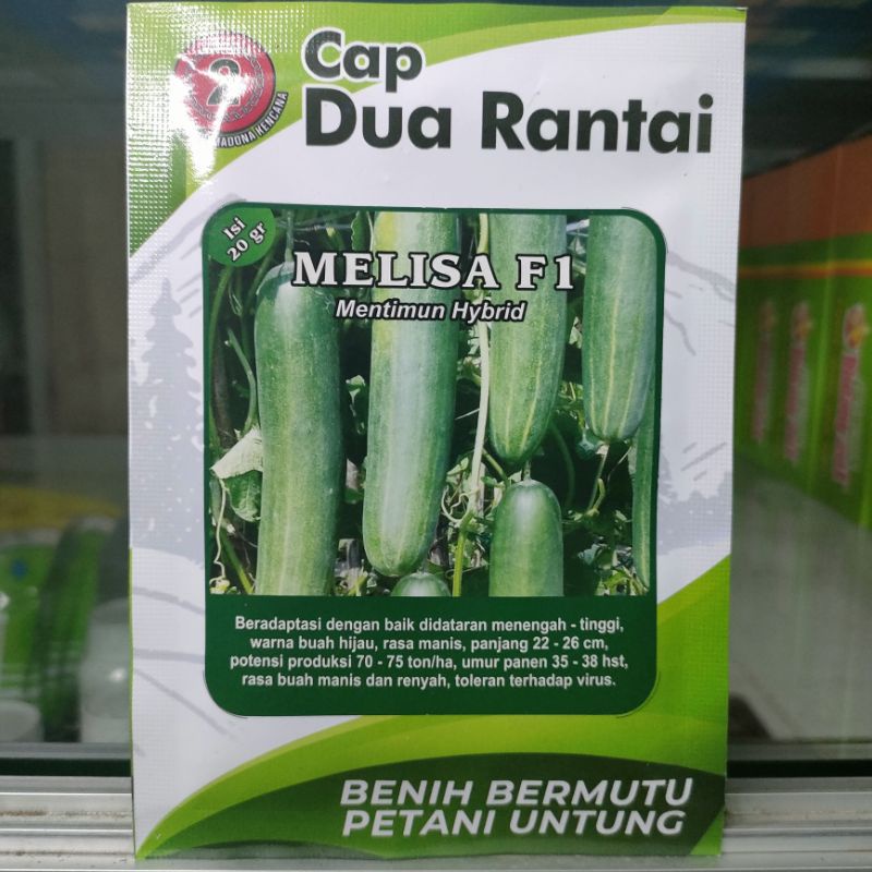 Timun Melisa F1 Timun Hijau Hibrida 20gr Kemasan Original Pabrik Cap Dua Rantai