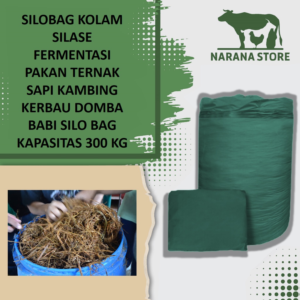Silobag Kolam Silase Fermentasi Pakan Ternak Sapi Kambing Kerbau Domba Babi Silo Bag Kapasitas 300 K