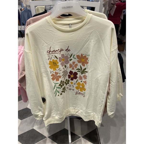 COLORBOX Sweater wanita (S-XL)