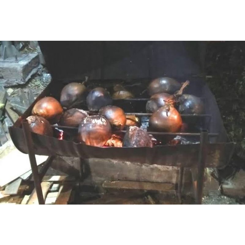 

Dogan obat