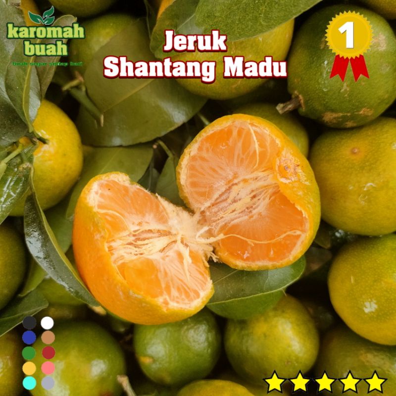 

JERUK SANTANG MADU 500GR ( Full manis ) / JERUK SHANTANG MADU 1KG SHANTANG HIJAU DAUN