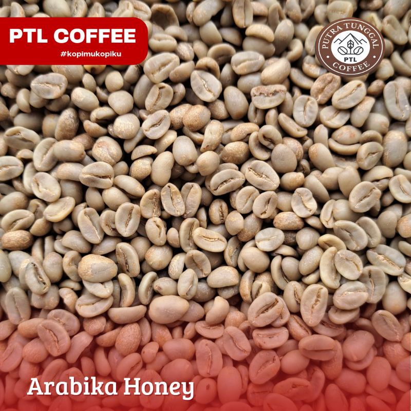 

Arabika Honey Proses Solok Selatan 1 Kg