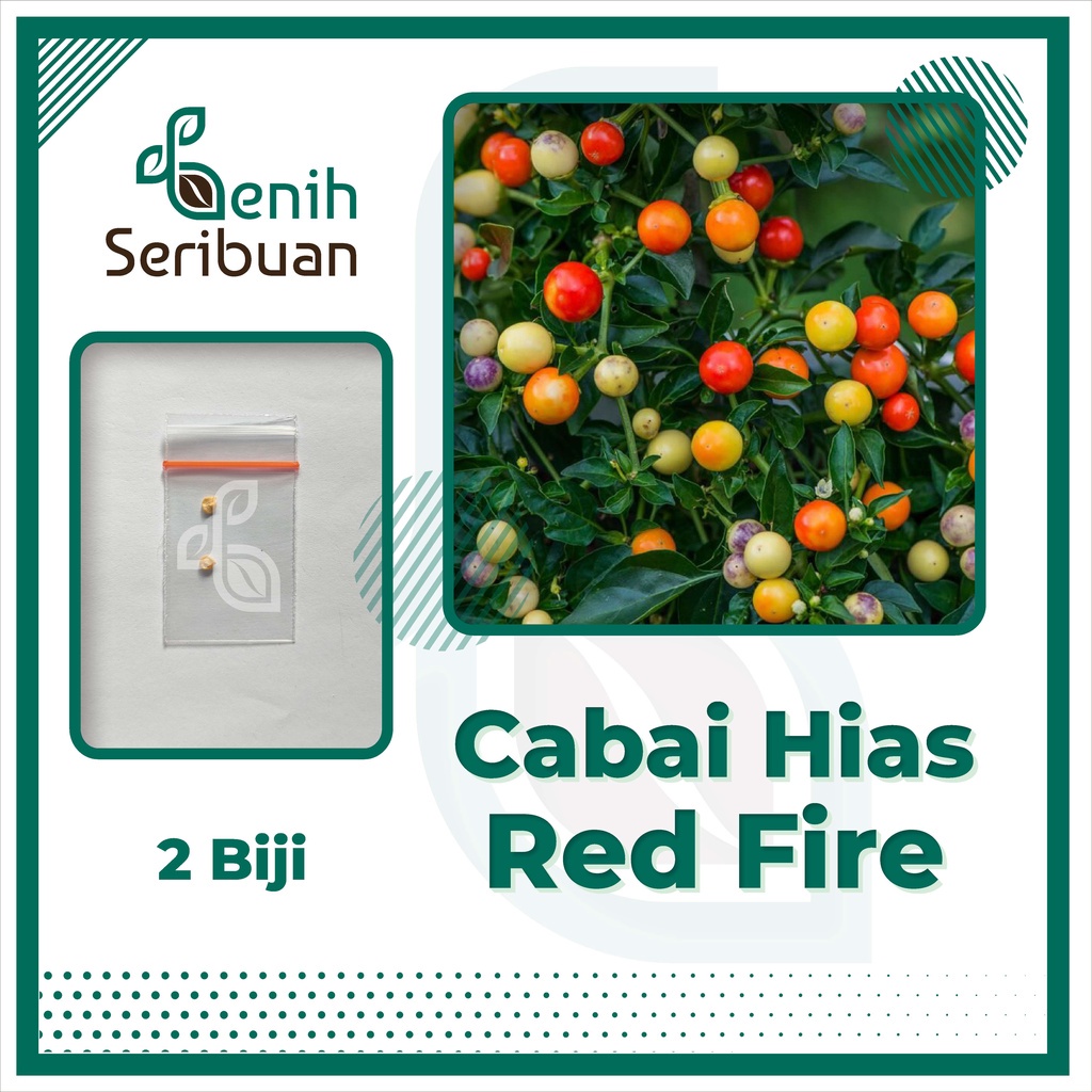 Benih Seribuan - 2 Benih Cabe Hias Red Fire Rainbow