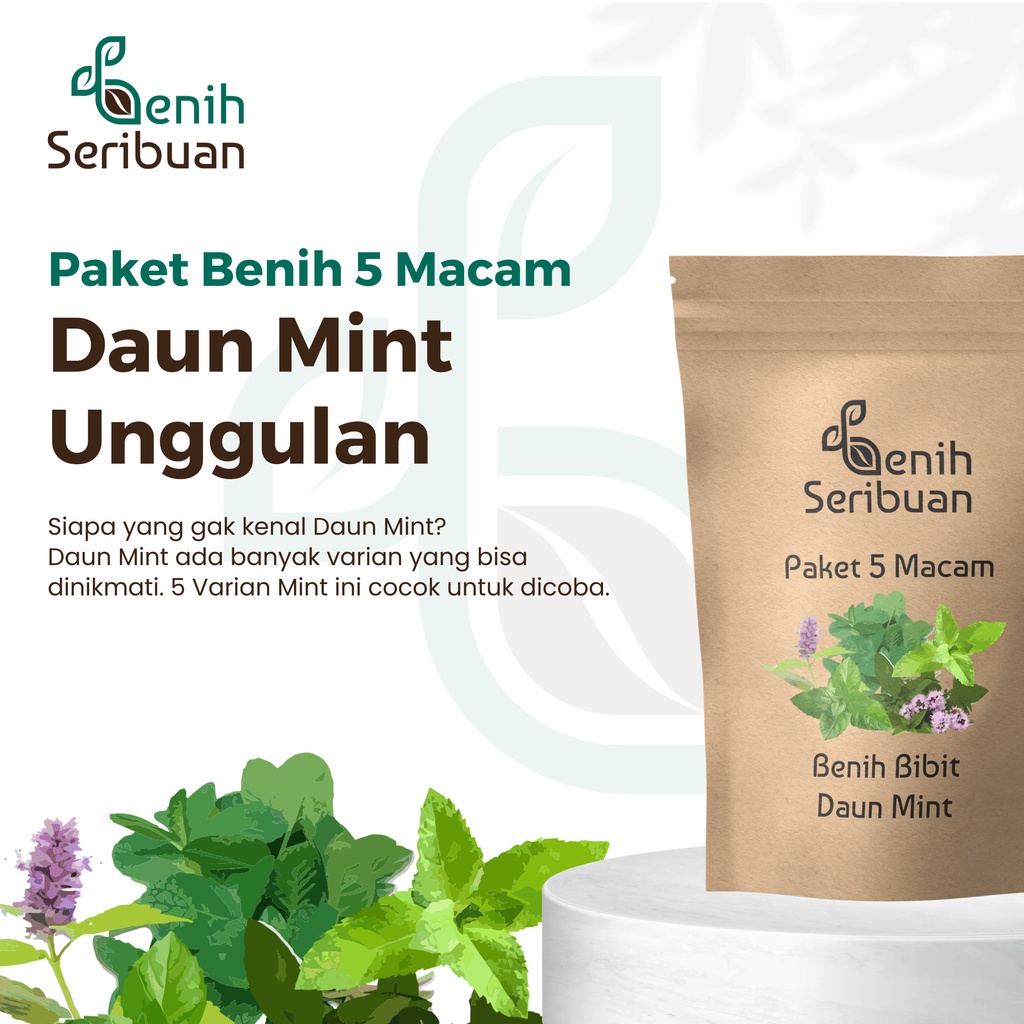 Benih Seribuan - Paket 5 Macam Bibit Daun Mint Unggul