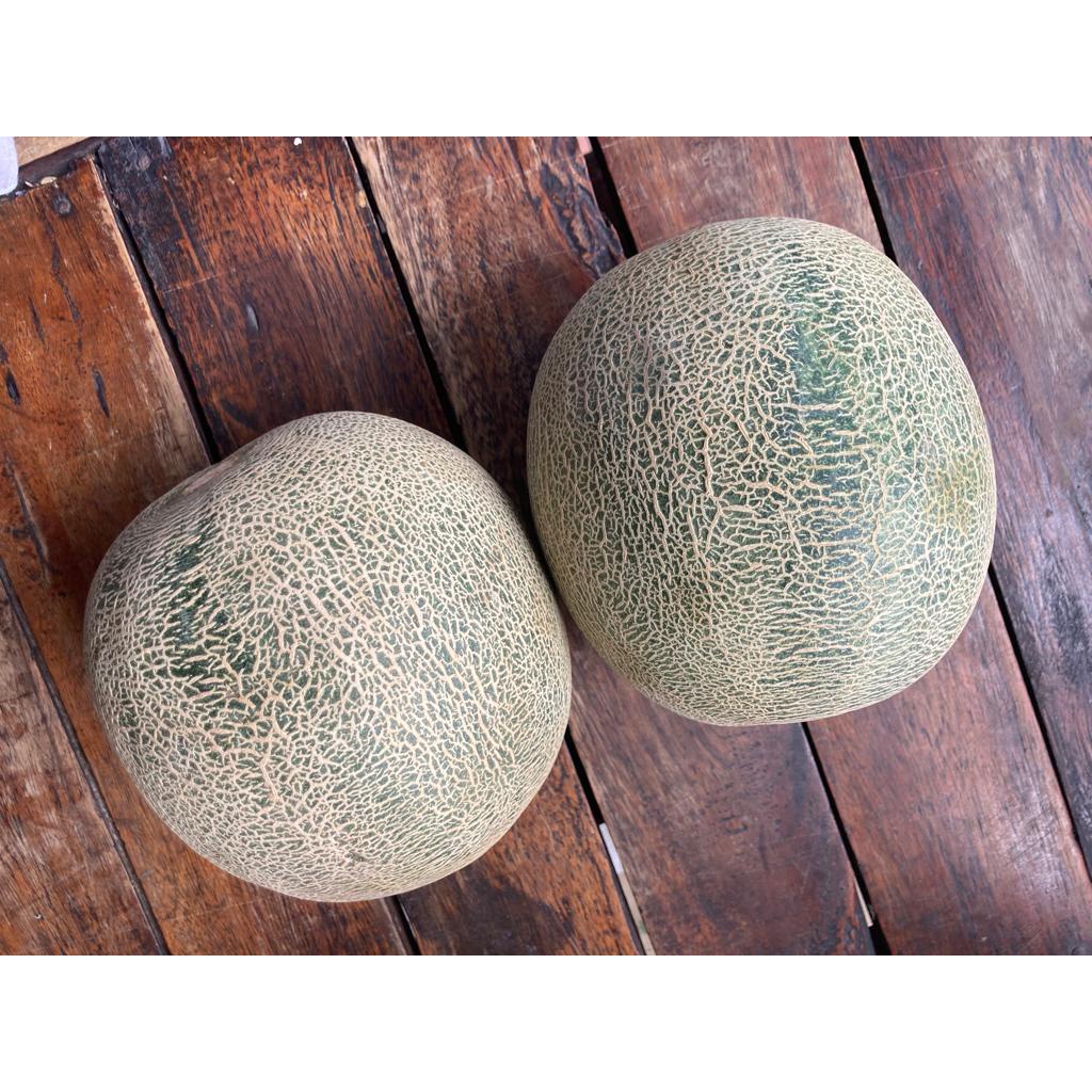 

Melon super/sky rocket segar, buah melon sky rocket, buah melon super