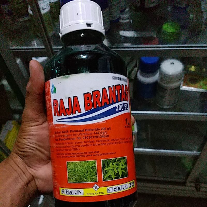 raja brantas 200sl