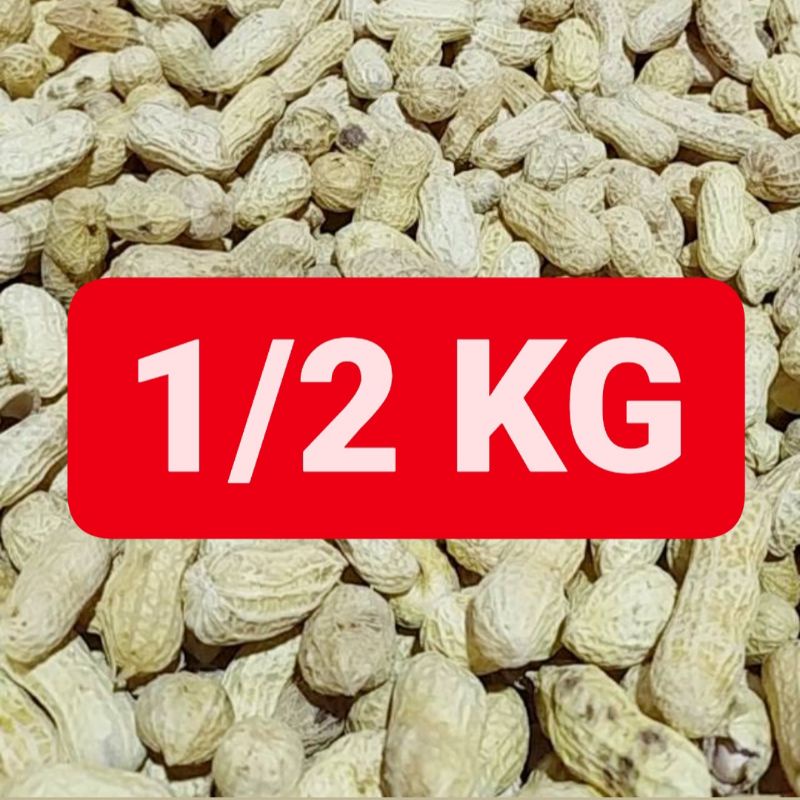 

500 gram KACANG KULIT gurih