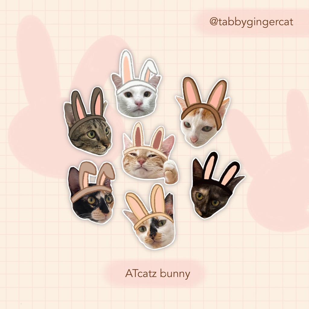 

Bunny Cats Set