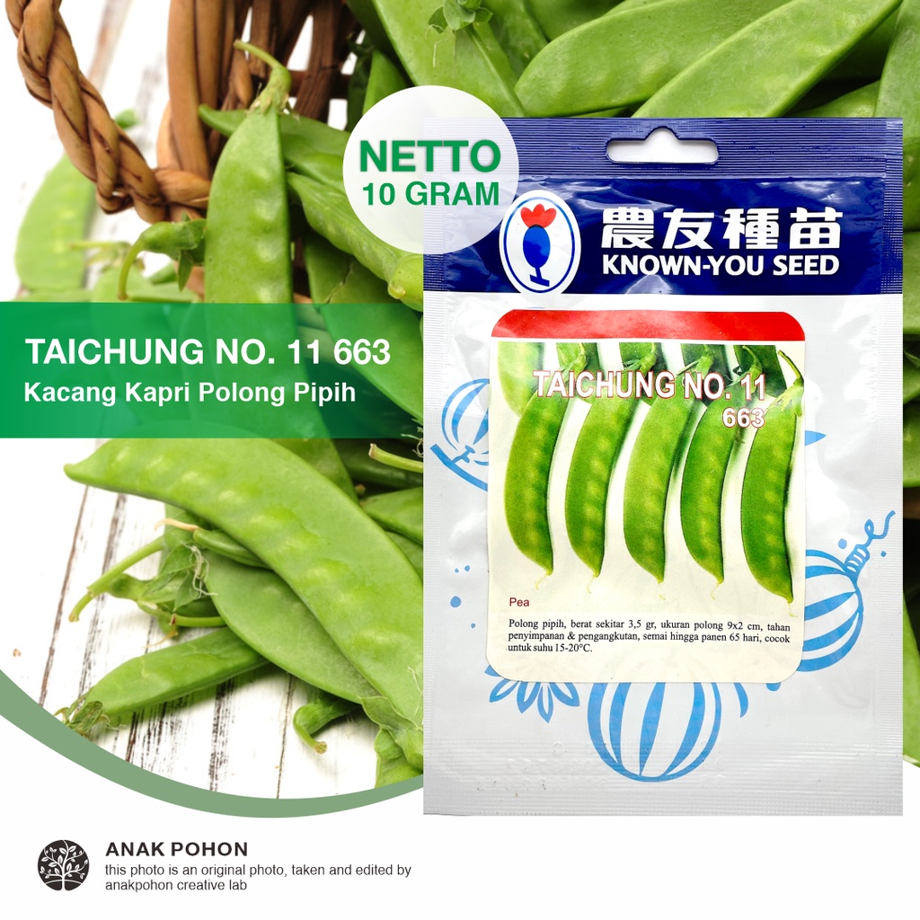 (1 PACK - 10 GRAM) Benih Kacang Polong Taichung No 11 663 Kapri Polong Pipih Seeds - Known You Seed KYS