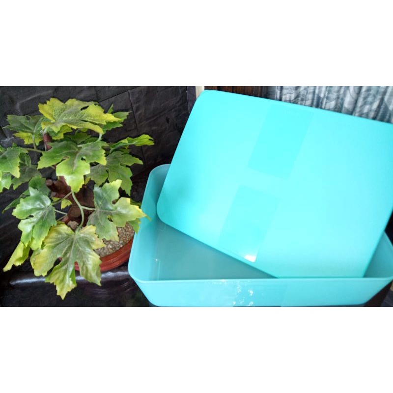 Freezermate Tupperware