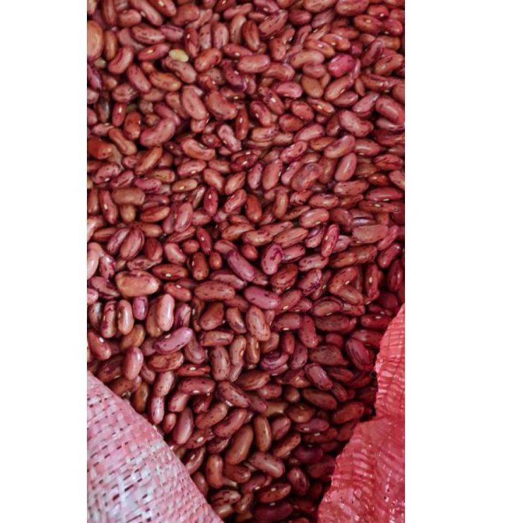 

>XC26619< Kacang Merah / Kacang Jogo 1 KG Ukuran Besar Premium Dijamin Fresh!!!