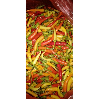 

Cabe fres dari petani